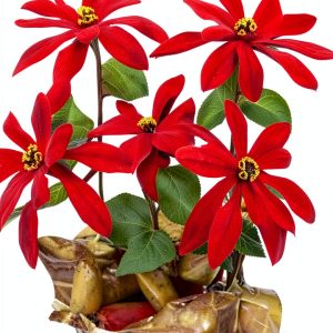 Bookdrawer Kindle eBook Antique Collectible Craft Hobby-0