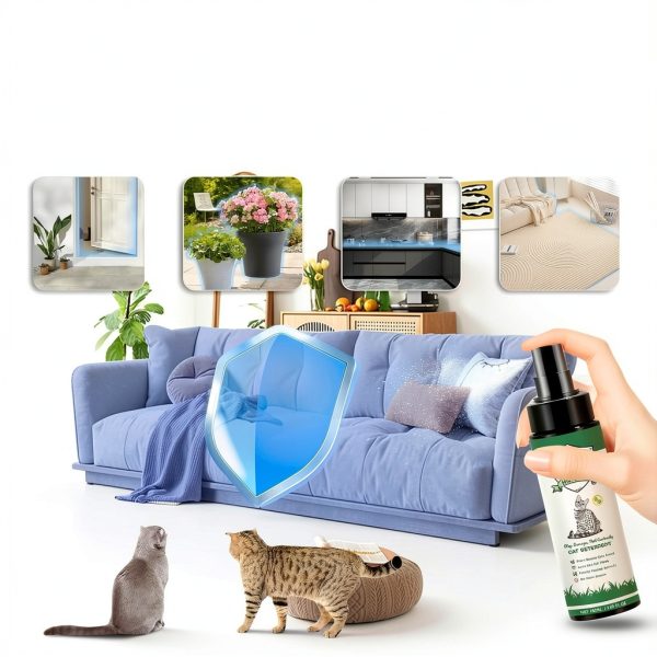 Cat Deterrent Spray HNMTWQ Citrus Repellent for Furniture Model QMP01-5