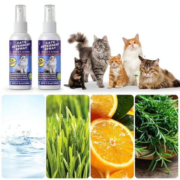 Cat Deterrent Spray by Peturarion Natural Nontoxic Furniture Guard-4