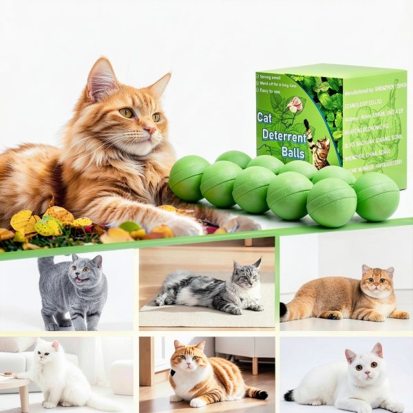 Cat Deterrent Outdoor Natural Peppermint Oil Shenzhen Yishun 10 Pack-4