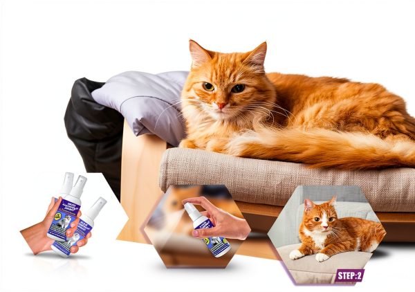 Cat Deterrent Spray by Peturarion Natural Nontoxic Furniture Guard-5