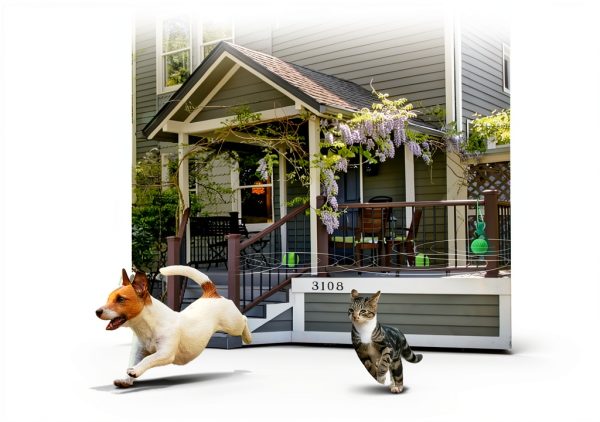 Cat Repellent Outdoor by BULUOHUA Peppermint Spray, Green, 10 Balls-2