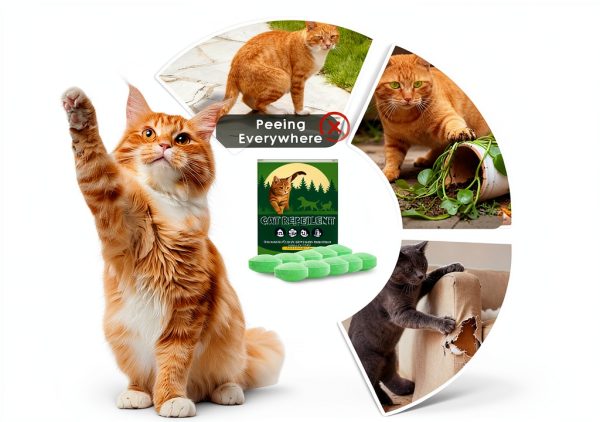 Cat Deterrent Callmynm 10 Pack Peppermint Lemon Natural Balls-2