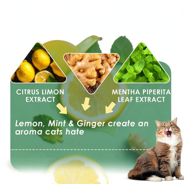 Cat Deterrent Callmynm 10 Pack Peppermint Lemon Natural Balls-4