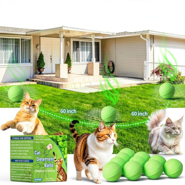 Cat Deterrent Outdoor Natural Peppermint Oil Shenzhen Yishun 10 Pack-2