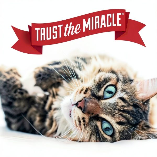 Nature's Miracle Platinum Cat Repellent Spray 8oz Indoor Training-8