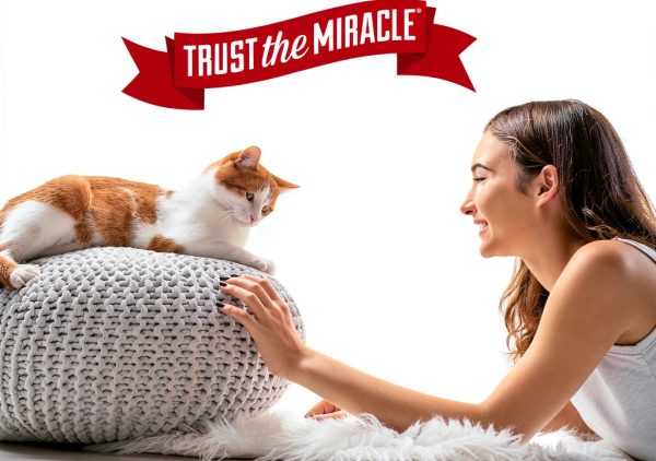 Nature's Miracle Platinum Cat Repellent Spray 8oz Indoor Training-7